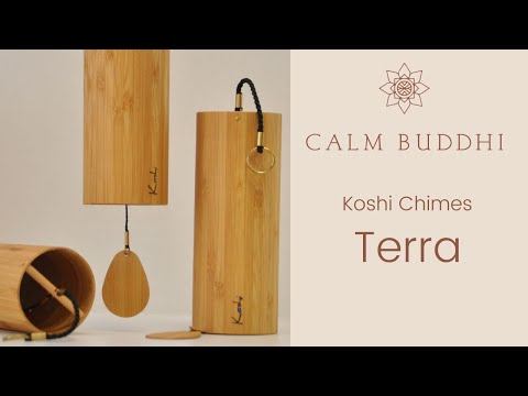 Elemental Sensory Bundle